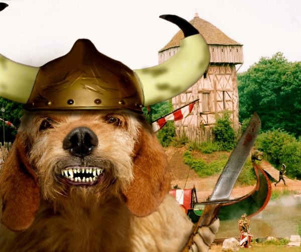 Creation of Pillaging Viking Canine : Step 3